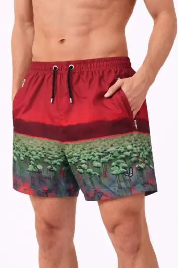 Deniz Şortu Fermuarlı Cepli File Astarlı Hızlı Kuruyan Premium - Kırmızı